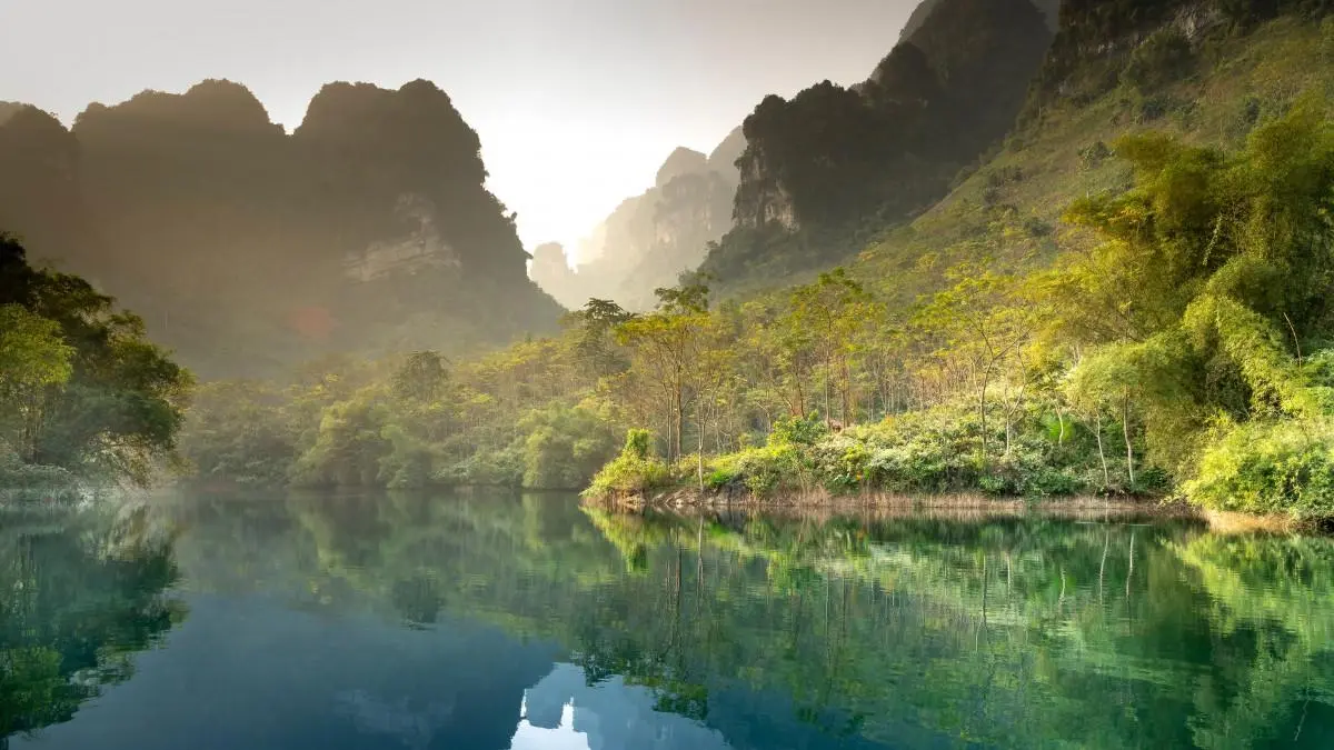 智能系统绿色高质量